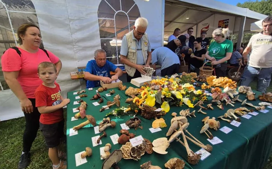 Vrganji, tartufi i domaći proizvodi obilježili vikend u Paki