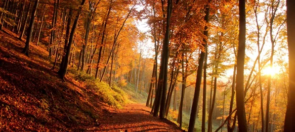 Pred nama je sunčani vikend, temperature se penju do 15 stupnjeva