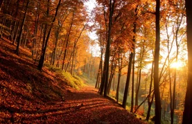 Čeka nas promjenjivi vikend uz puno sunca i vjetra, ali i kišnih razdoblja