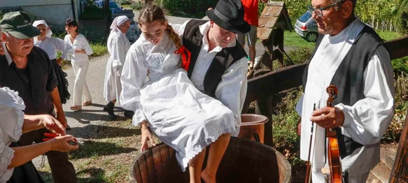 Skrajski pajdaši oživjeli staru tradiciju berbe grožđa