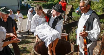 Skrajski pajdaši oživjeli staru tradiciju berbe grožđa