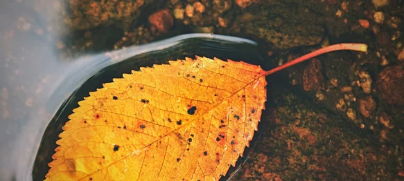 Oblaci i svježina obilježit će kraj rujna