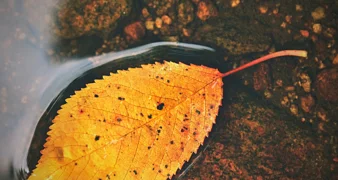 Oblaci i svježina obilježit će kraj rujna