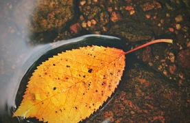 Oblaci i svježina obilježit će kraj rujna