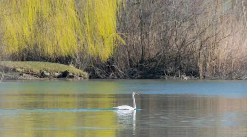 Drava je puno više od rijeke – ona je simbol života, zajedništva i povezanosti