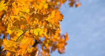 Uživajte u sunčanom i toplom vikendu