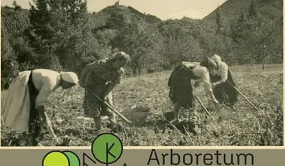 Otvorenje izložbe na temu „ženskog mjesta” i „ženskih poslova”