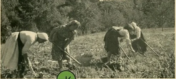Otvorenje izložbe na temu &bdquo;ženskog mjesta&rdquo; i &bdquo;ženskih poslova&rdquo;