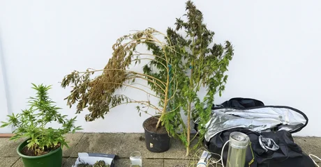 Zapljenjene stvari u domu 45-godišnjaka 