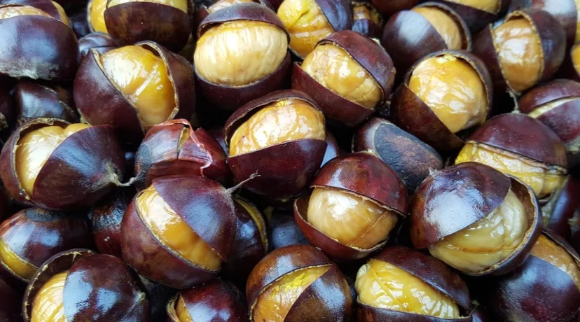 Ideja za pravi jesenski vikend – ne propustite Kestenijadu i 16. Jalžabetsku smotra mošta