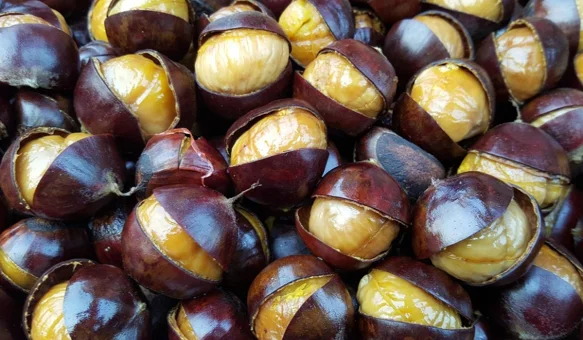 Ne propustite kuhano vino, štrukle i kestene uz logorsku vatru u Velikoj grabi