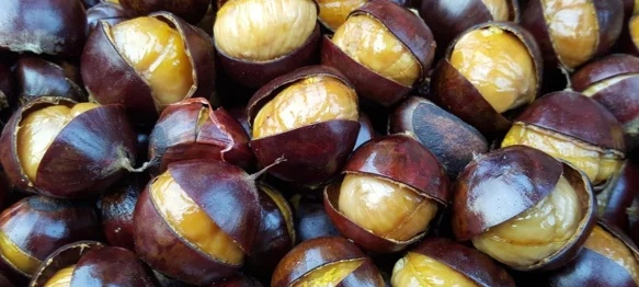 Ideja za pravi jesenski vikend – ne propustite Kestenijadu i 16. Jalžabetsku smotra mošta