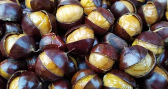 Ideja za pravi jesenski vikend – ne propustite Kestenijadu i 16. Jalžabetsku smotra mošta