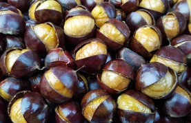 Ne propustite kuhano vino, štrukle i kestene uz logorsku vatru u Velikoj grabi