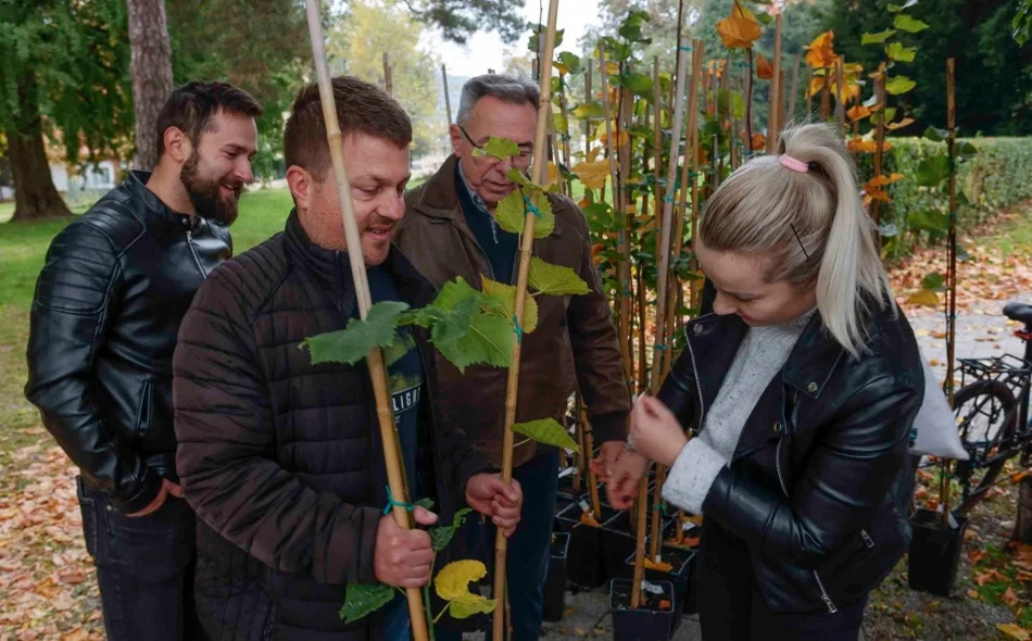 Grad Ivanec darovao svoje građane - podijeljeno novih 150 kloniranih lipa