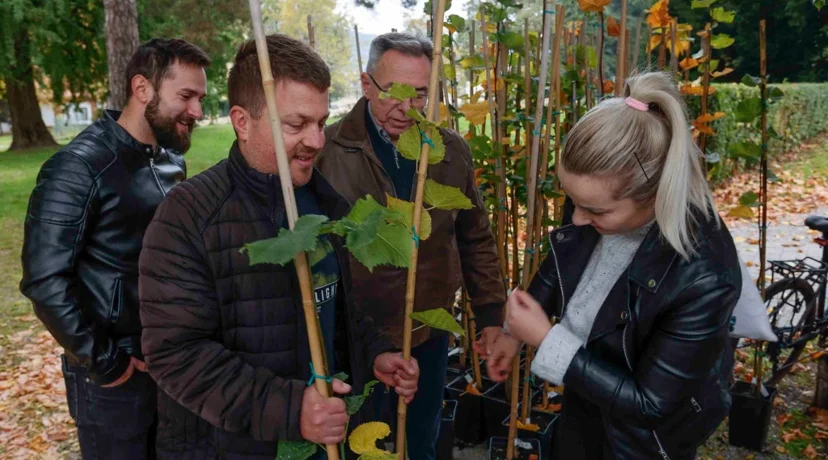 Grad Ivanec darovao svoje građane - podijeljeno novih 150 kloniranih lipa