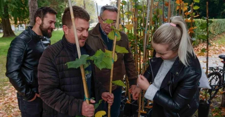 Grad Ivanec darovao svoje građane - podijeljeno novih 150 kloniranih lipa