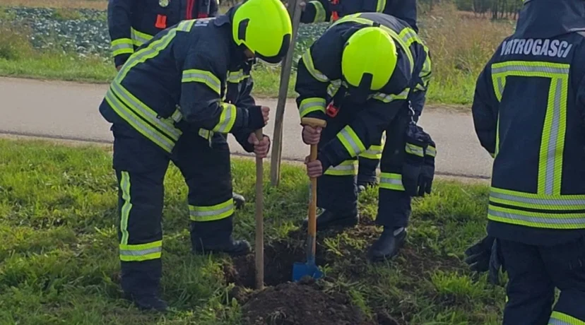 Vatrogasci DVD-a Nedeljanec-Prekno pridružili se projektu &quot;Zasadi drvo ne budi panj&quot;