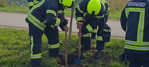Vatrogasci DVD-a Nedeljanec-Prekno pridružili se projektu "Zasadi drvo ne budi panj"