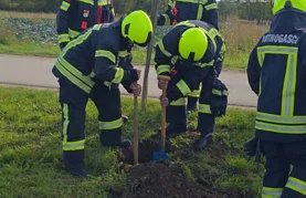 Vatrogasci DVD-a Nedeljanec-Prekno pridružili se projektu "Zasadi drvo ne budi panj"