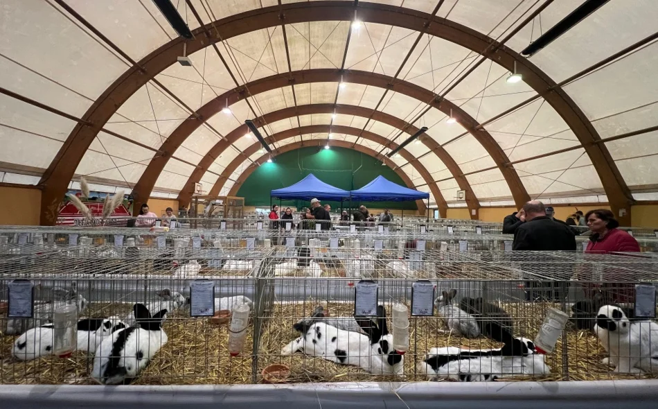 Varaždin ponosan domaćin - Održana državna i međunarodna izložba malih životinja