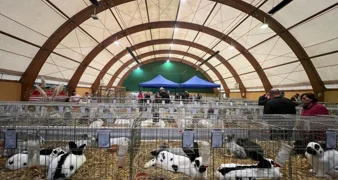 Varaždin ponosan domaćin - Održana državna i međunarodna izložba malih životinja