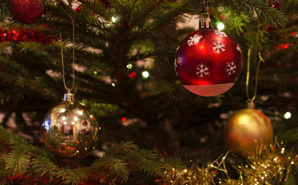 Pijani trojac ukrao božićnu jelku i trgao kante za smeće