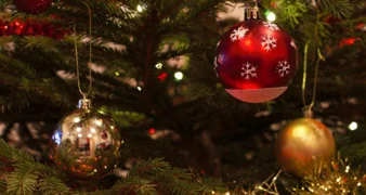 Pijani trojac ukrao božićnu jelku i trgao kante za smeće