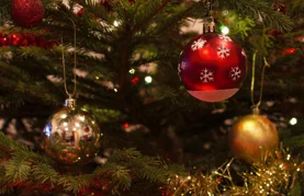 Pijani trojac ukrao božićnu jelku i trgao kante za smeće