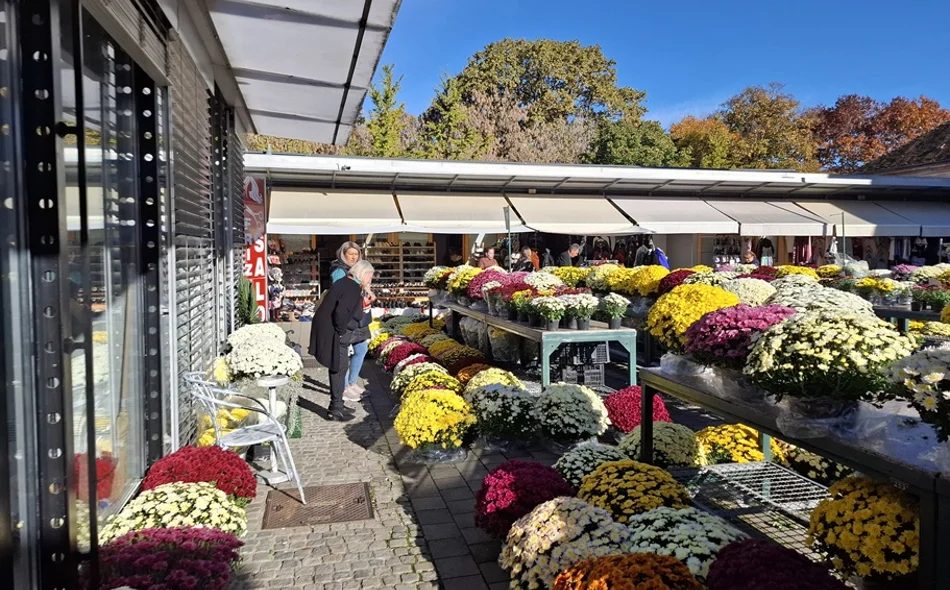 FOTO Aranžmani i multiflore najpopularniji, tek rijetki sami rade svoje cvjetne košarice