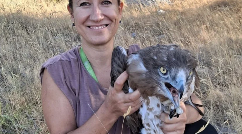 Đuro u mjesec dana prešao gotovo 7000 kilometara i skrasio se u središnjoj Africi