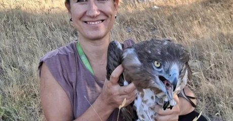 Đuro u mjesec dana prešao gotovo 7000 kilometara i skrasio se u središnjoj Africi