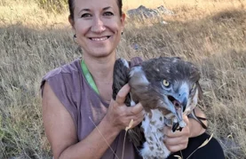 Đuro u mjesec dana prešao gotovo 7000 kilometara i skrasio se u središnjoj Africi