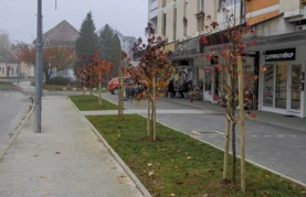 Uljepšana vizura atraktivnog urbanog prostora u Ivancu