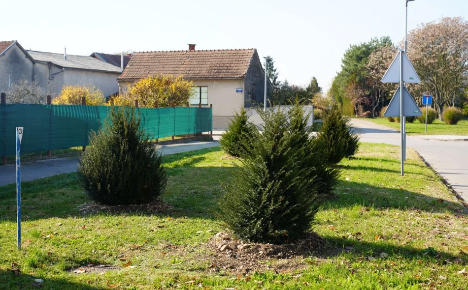 Varaždin nastavlja potvrđivati svoj status Europskog grada stabala - u listopadu posađeno 162 stabla