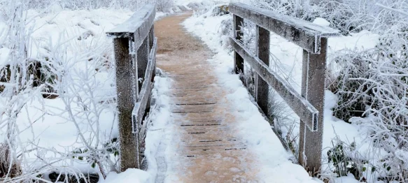 Idućeg tjedna nad Europu se spušta hladniji zrak - nosi nam i snježne pahulje?