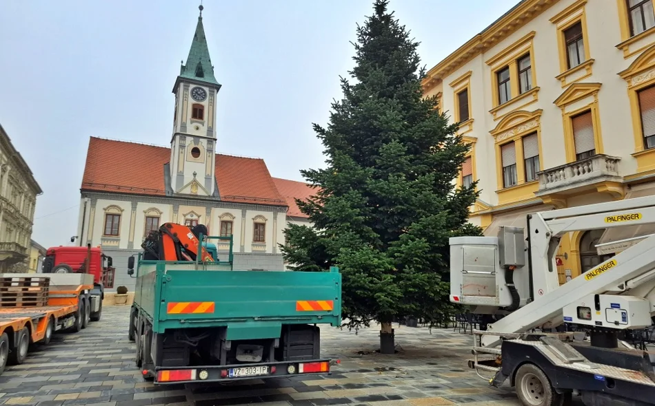 Na Korzu postavljen bor - još je ostalo dva tjedna do prave blagdanske euforije!