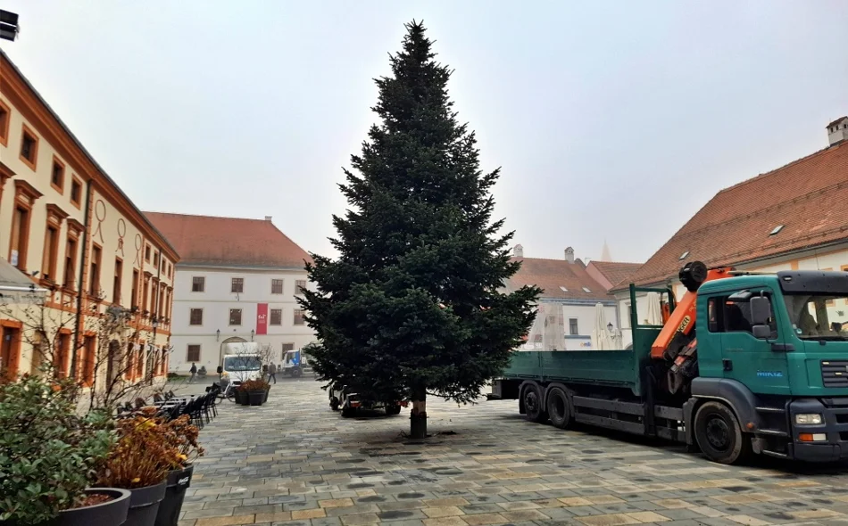 Na Korzu postavljen bor - još je ostalo dva tjedna do prave blagdanske euforije!