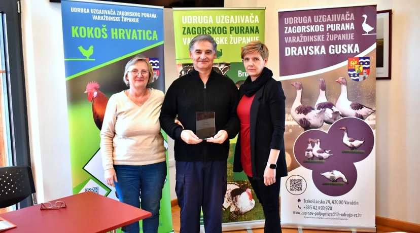 U planu zaštita autohtone Dravske guske kojoj prijeti nestanak