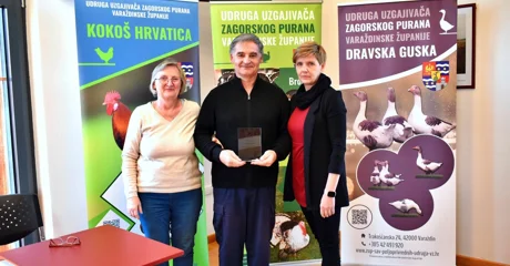 U planu zaštita autohtone Dravske guske kojoj prijeti nestanak