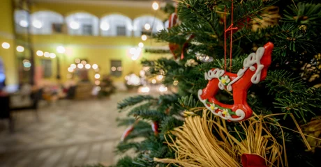 Uz radionicu sijanja božićne pšenice, mališani će uživati u slatkišima, dame u husarskim poljupcima