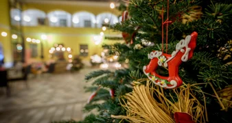 Uz radionicu sijanja božićne pšenice, mališani će uživati u slatkišima, dame u husarskim poljupcima