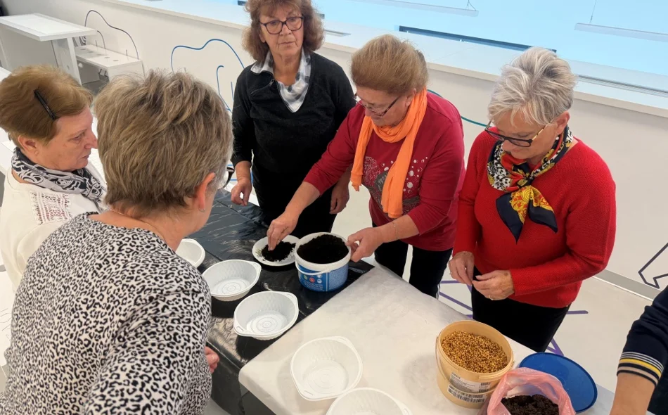 U Muzeju grada Ludbrega muzealci uz pomoć Žena iz Centra svijeta sijali pšenicu