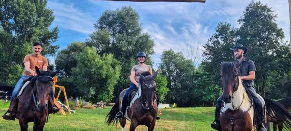 FOTO Krava Dotty, bik Thor, tele Mila i ostala četveronožna družina zvijezde su turističke atrakcije nadomak Ludbrega