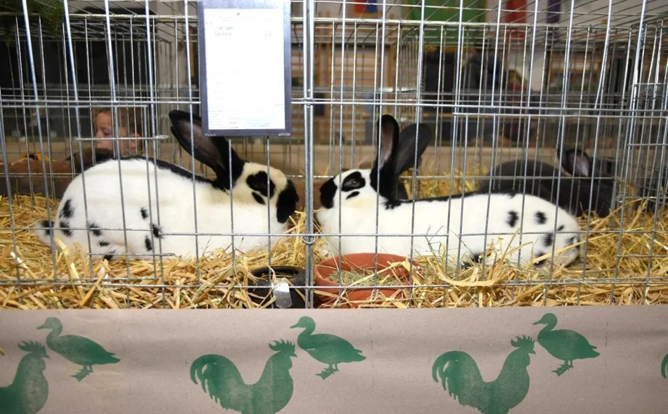 Brojni posjetitelji uživali u izložbi s više od 500 malih životinja u Ivancu