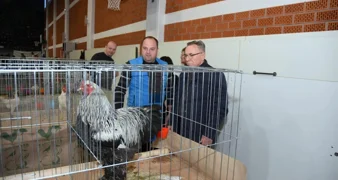 Brojni posjetitelji uživali u izložbi s više od 500 malih životinja u Ivancu