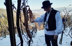 Varaždinske Toplice ponovno domaćin tradicionalnog Vincekova