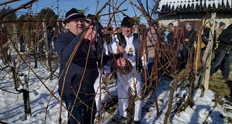 Rezidba trsova i blagoslov vinograda u Gornjem Martijancu