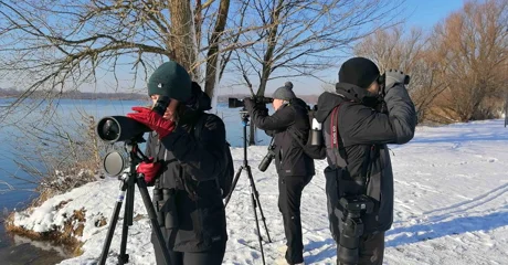 Dođite na ptičarenje &ndash; promatranje ptica uz stručno vodstvo