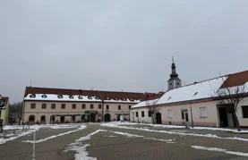 Kamionom ušao u centar Ludbrega i oštetio tlakavce &ndash; sada je saznao kaznu!